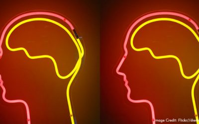 Drug Abuse, Dopamine and the Reward System Explained