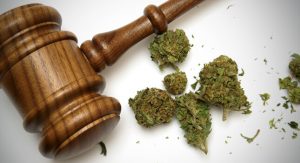 How the Evolving Legal Status of Marijuana Could Put Your Teen At Risk 43 Legalisation Changing Teens’ Views of Marijuana